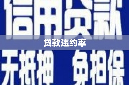 大丰贷款违约率