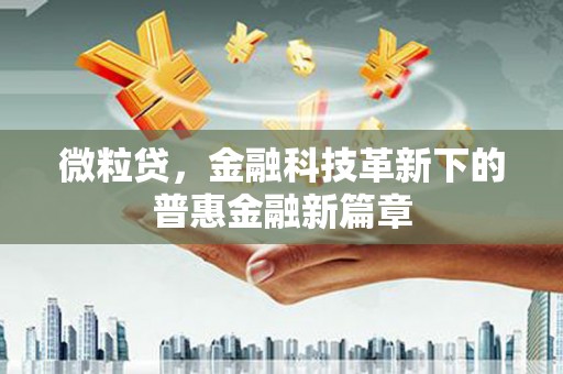 大丰微粒贷，金融科技革新下的普惠金融新篇章