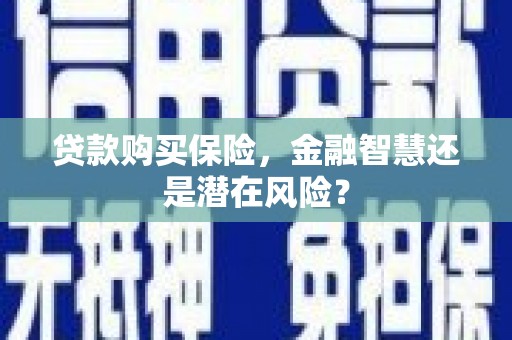 大丰贷款购买保险，金融智慧还是潜在风险？
