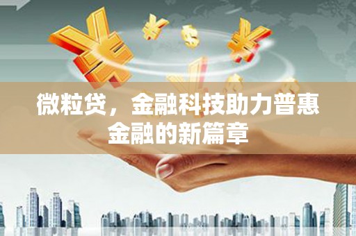大丰微粒贷，金融科技助力普惠金融的新篇章