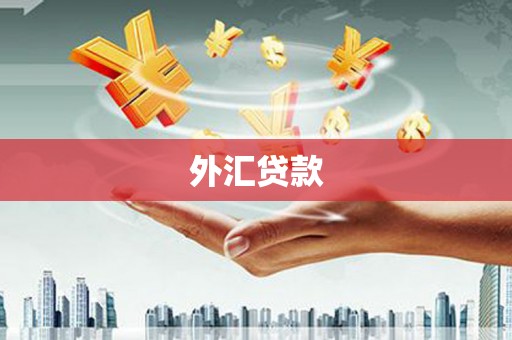 大丰外汇贷款