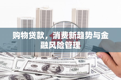 大丰购物贷款，消费新趋势与金融风险管理