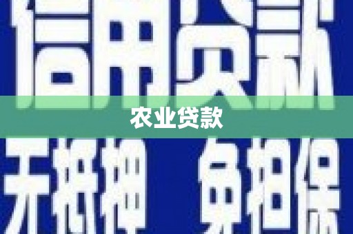 大丰农业贷款