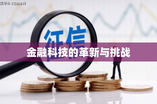 大丰金融科技的革新与挑战