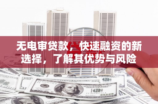 大丰无电审贷款，快速融资的新选择，了解其优势与风险