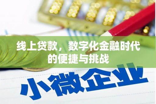 大丰线上贷款，数字化金融时代的便捷与挑战