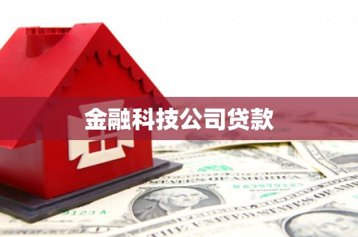 大丰金融科技公司贷款