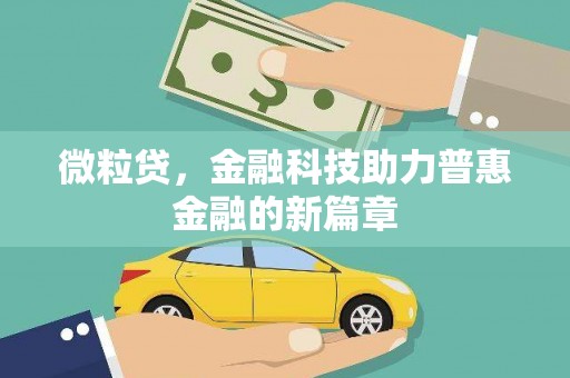 大丰微粒贷，金融科技助力普惠金融的新篇章