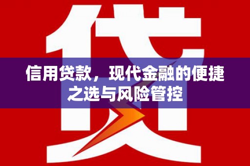 大丰信用贷款，现代金融的便捷之选与风险管控