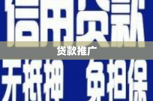 大丰贷款推广