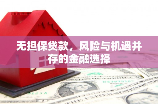 大丰无担保贷款，风险与机遇并存的金融选择