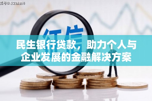 大丰民生银行贷款，助力个人与企业发展的金融解决方案