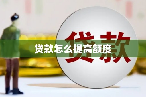 大丰贷款怎么提高额度