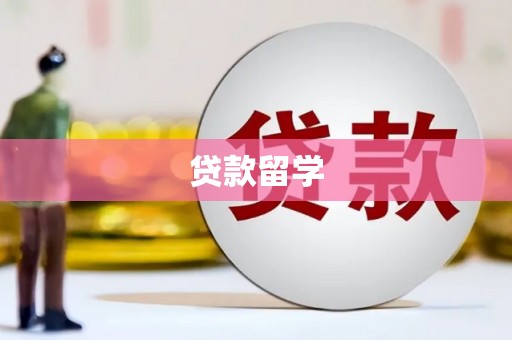 大丰贷款留学