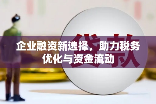 大丰企业融资新选择，助力税务优化与资金流动