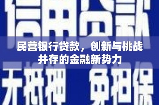 大丰民营银行贷款，创新与挑战并存的金融新势力