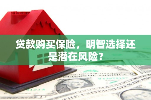 大丰贷款购买保险，明智选择还是潜在风险？