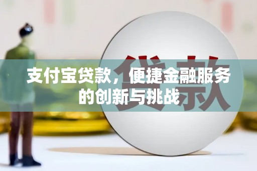 大丰支付宝贷款，便捷金融服务的创新与挑战