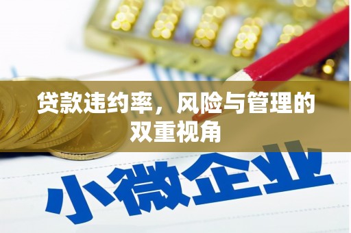 大丰贷款违约率，风险与管理的双重视角