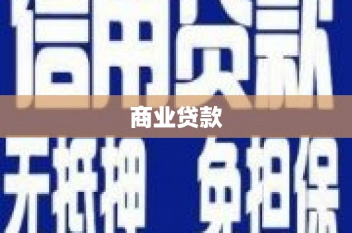 大丰商业贷款