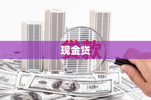 大丰现金贷
