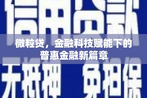 大丰微粒贷，金融科技赋能下的普惠金融新篇章