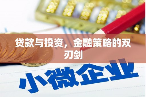 大丰贷款与投资，金融策略的双刃剑