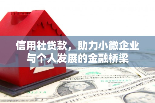 大丰信用社贷款，助力小微企业与个人发展的金融桥梁