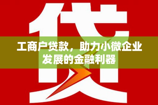 大丰工商户贷款，助力小微企业发展的金融利器