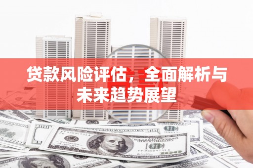 大丰贷款风险评估，全面解析与未来趋势展望
