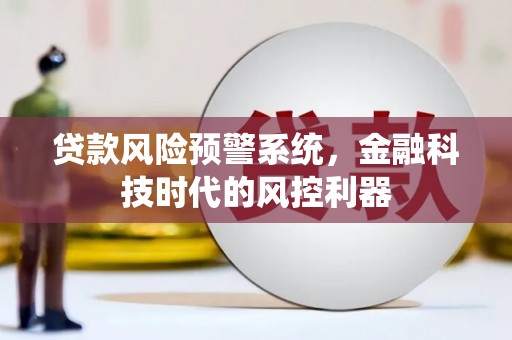 大丰贷款风险预警系统，金融科技时代的风控利器