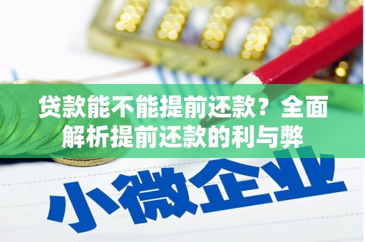 大丰贷款能不能提前还款？全面解析提前还款的利与弊
