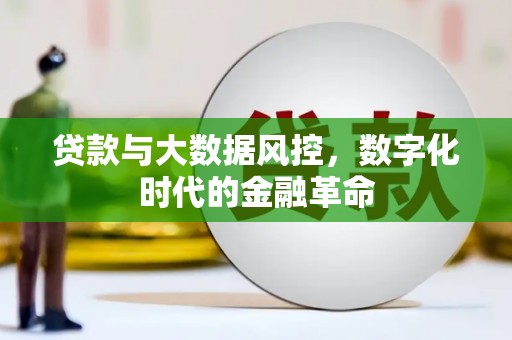 大丰贷款与大数据风控，数字化时代的金融革命
