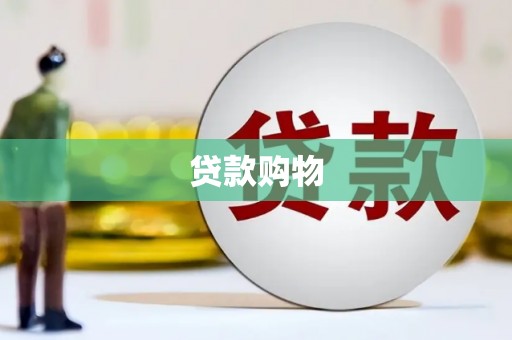 大丰贷款购物