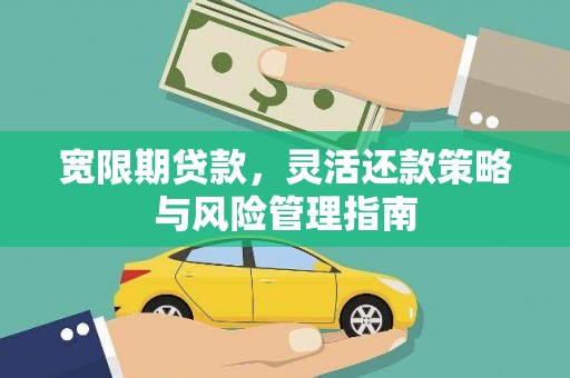 大丰宽限期贷款，灵活还款策略与风险管理指南