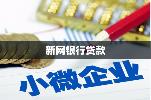 大丰新网银行贷款