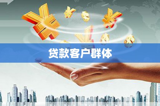 大丰贷款客户群体
