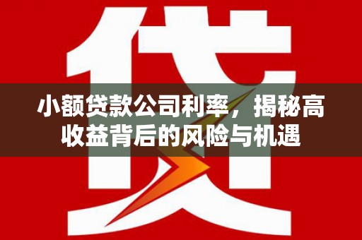 大丰小额贷款公司利率，揭秘高收益背后的风险与机遇