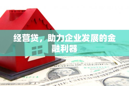 大丰经营贷，助力企业发展的金融利器