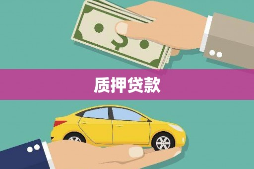 大丰质押贷款