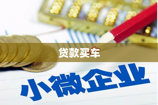 大丰贷款买车
