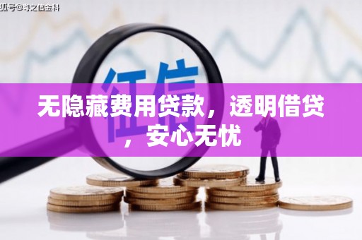 大丰无隐藏费用贷款，透明借贷，安心无忧