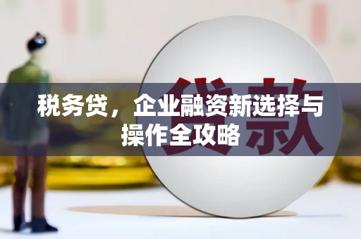 大丰税务贷，企业融资新选择与操作全攻略