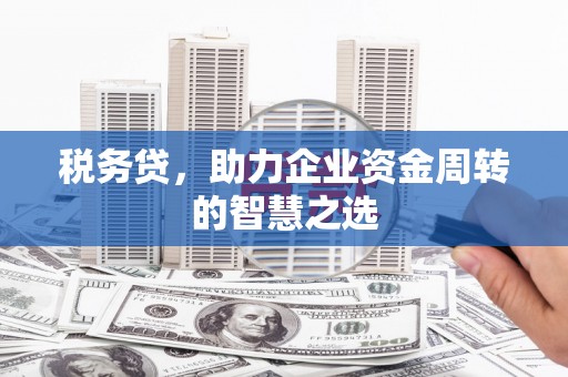 大丰税务贷，助力企业资金周转的智慧之选