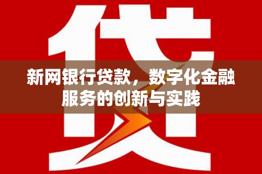 大丰新网银行贷款，数字化金融服务的创新与实践