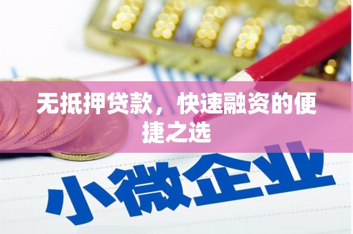 大丰无抵押贷款，快速融资的便捷之选