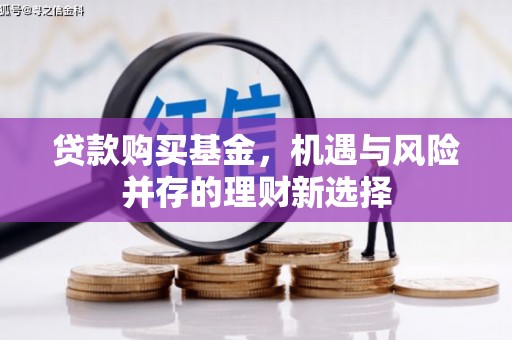 大丰贷款购买基金，机遇与风险并存的理财新选择
