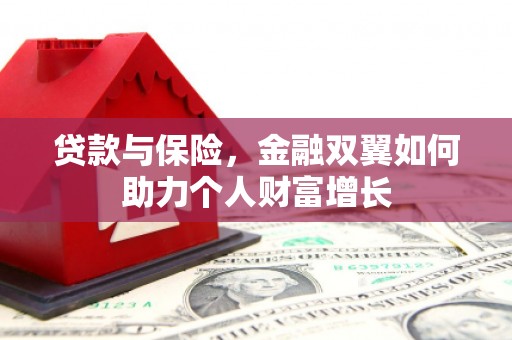 大丰贷款与保险，金融双翼如何助力个人财富增长