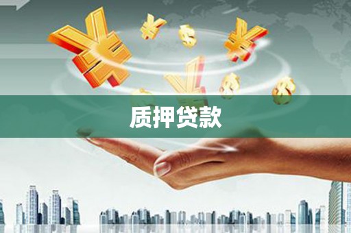 大丰质押贷款