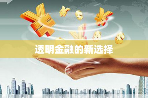 大丰透明金融的新选择
